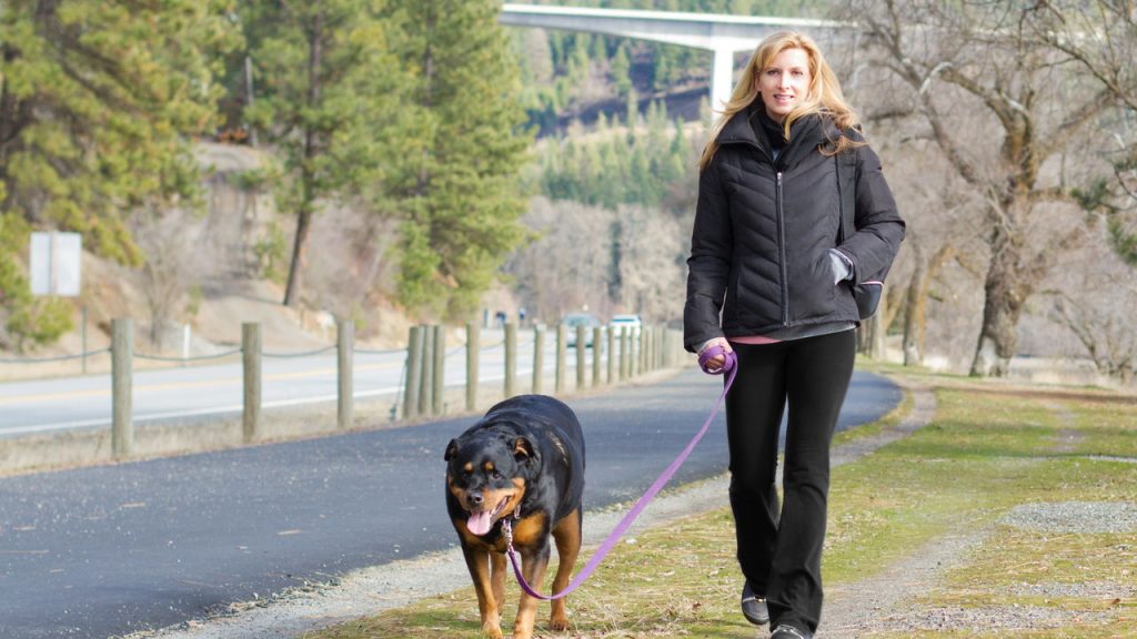 8 cuidados essenciais para proteger seu pet no inverno
