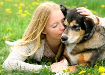 A técnica mais eficaz para acalmar cães ansiosos em casa