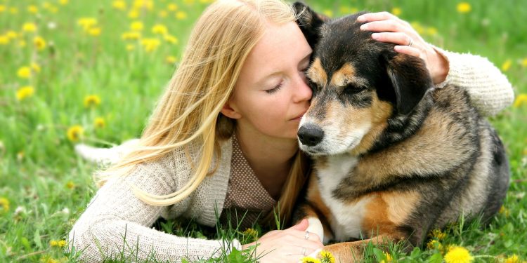 A técnica mais eficaz para acalmar cães ansiosos em casa