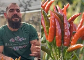 Guydo Horta, jardineiro "Cultivando Pimentas"