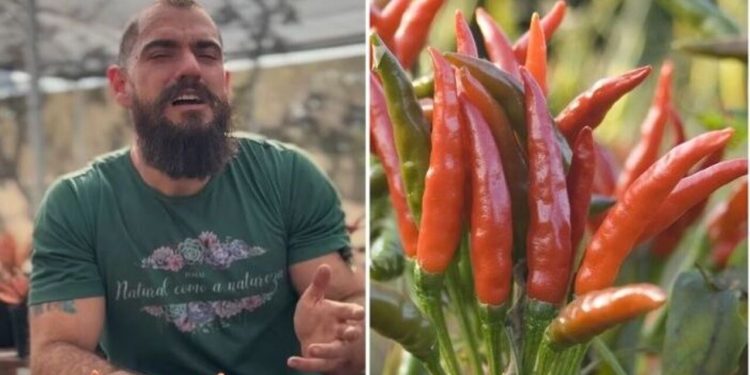 Guydo Horta, jardineiro "Cultivando Pimentas"