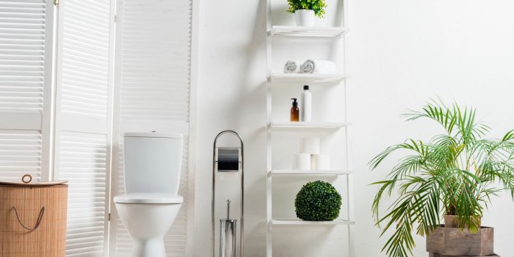 Essas plantas são campeãs em absorver umidade do banheiro