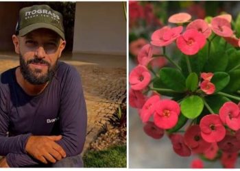 Samyr Chuluc, "3 plantas coloridas para seu jardim"