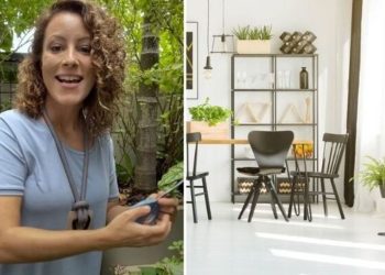 Carol Costa, "As melhores plantas para se ter em apartamentos"