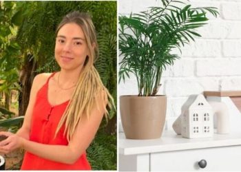 Camilla Lelis, “Plantas ideais para o quarto”