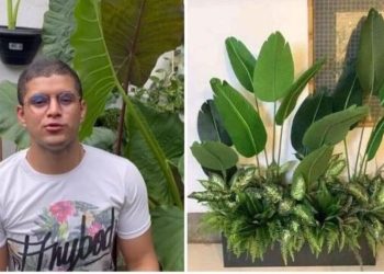 Cadu Linhares, "Mais de uma planta num vaso, pode?"