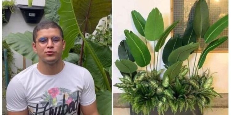 Cadu Linhares, "Mais de uma planta num vaso, pode?"