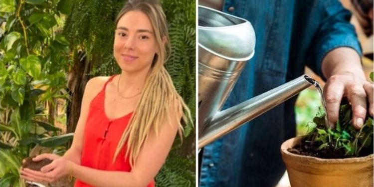 Camilla Lelis, "Truque para saber quando regar sua planta"