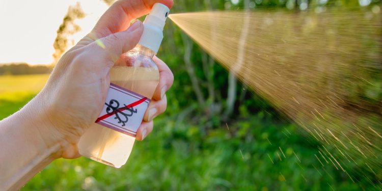 A mistura mais aromática e poderosa contra mosquitos no verão