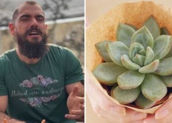 Guydo Horta, "5 suculentas que são tóxicas para seu Pet"