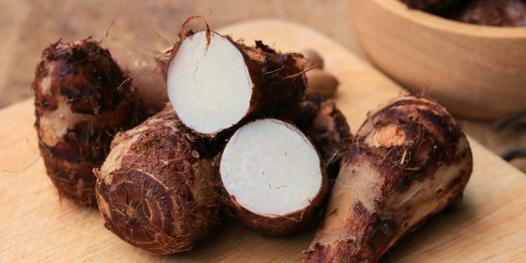Esse alimento virou o queridinho de quem busca mais energia e bem-estar