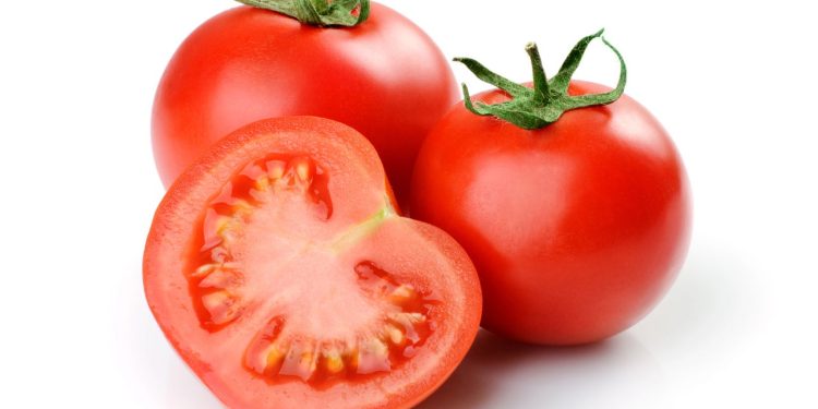 formas seguras de conservar tomates e evitar mofo