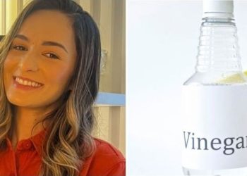 Nathália Moraes, "5 dicas de como usar vinagre na limpeza e economizar"