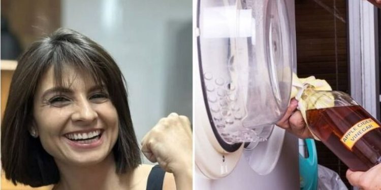 Talita Cavalcante, "3 benefícios do vinagre junto ao sabão"