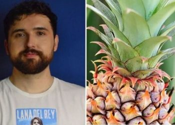 Thaccyo, jardineiro "Como plantar abacaxi no vaso?"