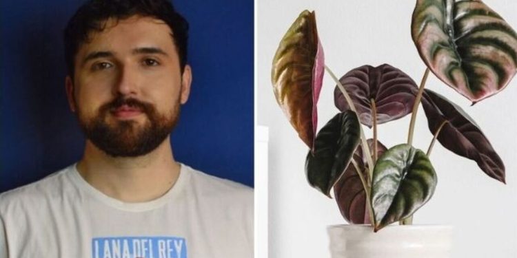 Thaccyo, jardineiro "Que planta é essa?"