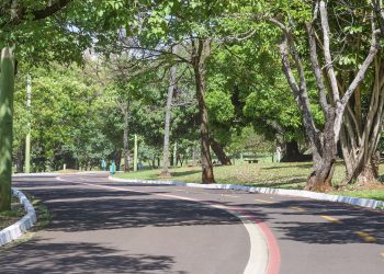 A 2ª capital do Brasil em qualidade de vida tem 91% das ruas arborizadas e o maior aquário de água doce do mundo