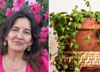 Ângela Cristina, jardineira "Peperômia Scandens é uma fofura pendente"