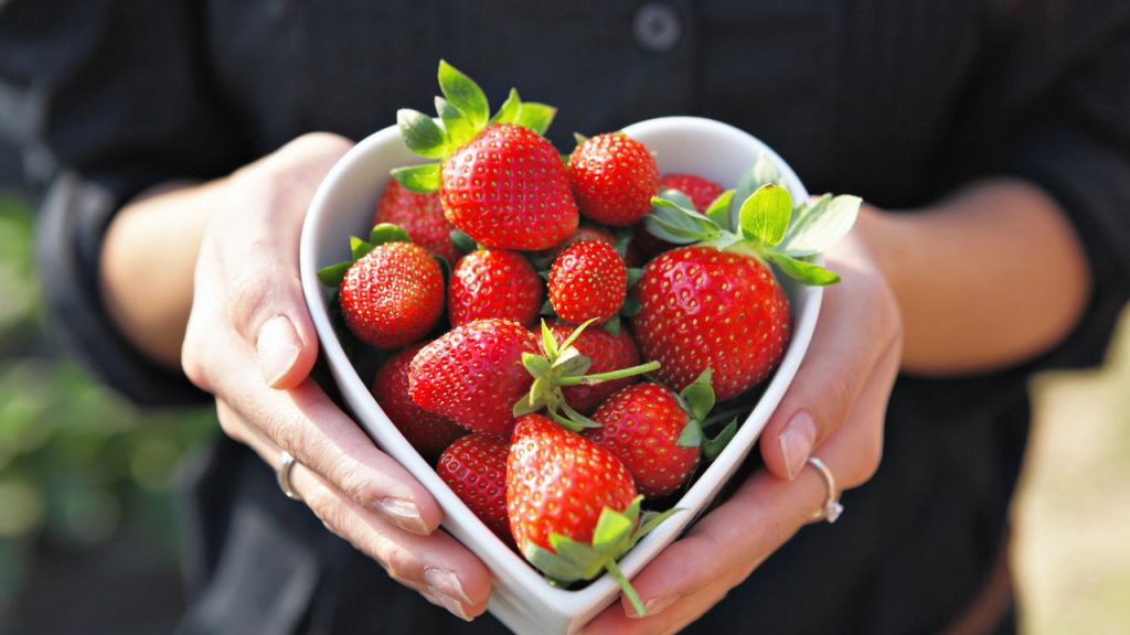 A fruta do amor perfeita para fortalecer a saúde e plantar em casa