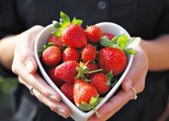 A fruta do amor perfeita para fortalecer a saúde e plantar em casa