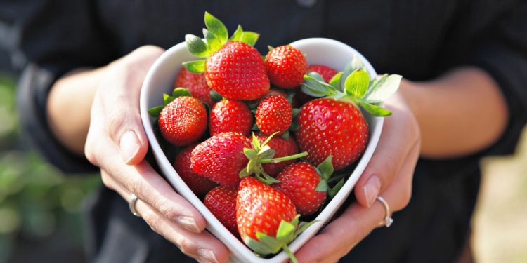 A fruta do amor perfeita para fortalecer a saúde e plantar em casa