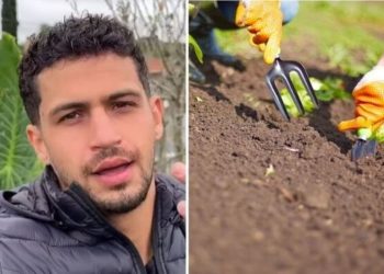 Rafael Barbosa, jardineiro "Quais os melhores meses para fazer adubação?"