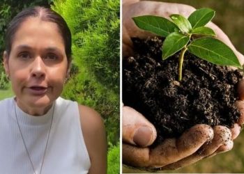 Ana Paula Lino, jardineira "Qual adubo você coloca nas suas plantas?