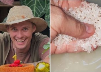 Raí Rech, jardineiro "Por que usar água de arroz na suas plantas?"