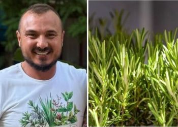 Murilo Soares, jardineiro "Essa planta é uma grande aliada da memória"