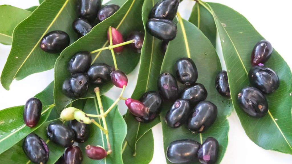 Essa fruta famosa é poderosa e pouca gente aproveita como deveria