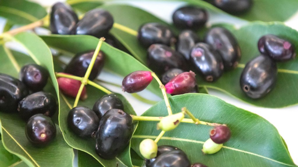 Essa fruta famosa é poderosa e pouca gente aproveita como deveria