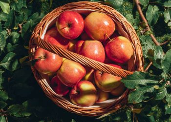 O substituto natural mais eficiente que o café está na sua fruteira