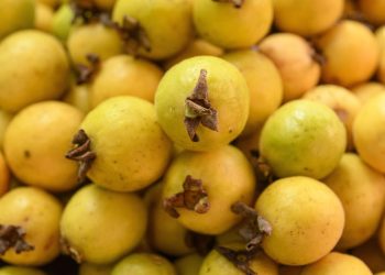Frutas pouco conhecidas que são ótimas para à saúde e fáceis de cultivar