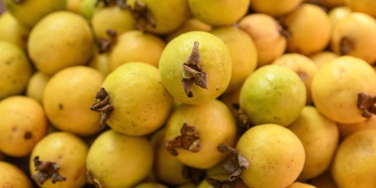 Frutas pouco conhecidas que são ótimas para à saúde e fáceis de cultivar