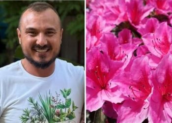 Murilo Soares, jardineiro "Como fazer uma muda de azaleia?"