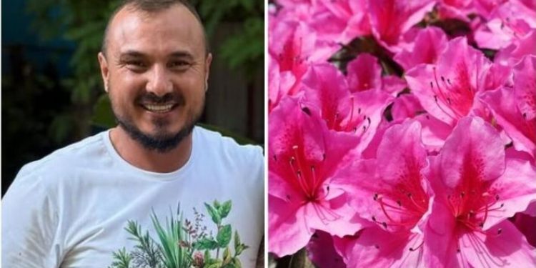 Murilo Soares, jardineiro "Como fazer uma muda de azaleia?"