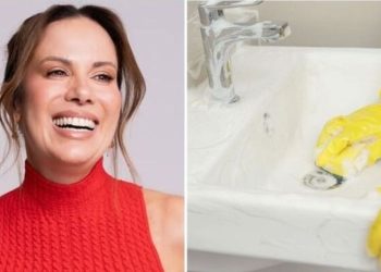 Regina Volpato, "Dicas de limpeza para o banheiro"