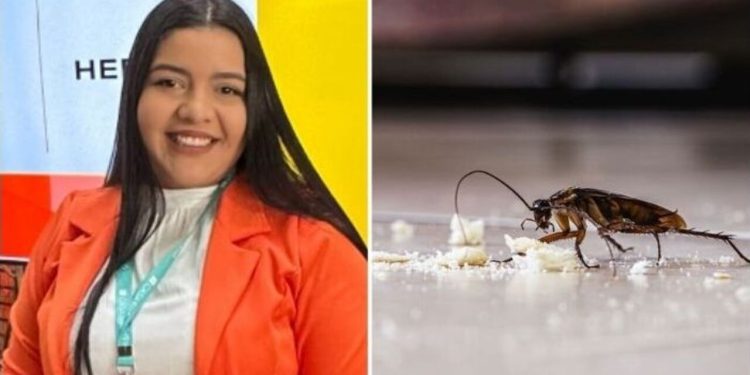 Ayrla Silvestre, "Mistura caseira para afastar traças e baratas"