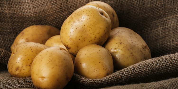 Evitar esse alimento pode ser o maior erro da sua dieta