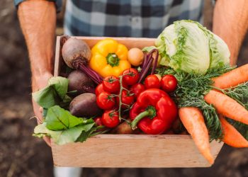 Esse vegetal melhora sua saúde e é fácil de plantar no quintal