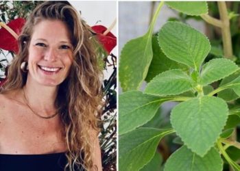 Nathalie, jardineira "Saiba quanto o boldo faz bem"