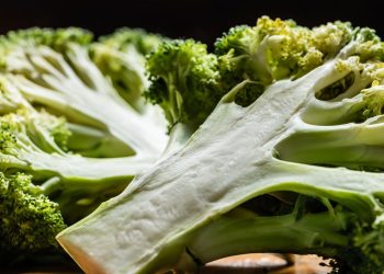 Vegetal poderoso recomendado pela ciência protege a saúde e cresce fácil em casa