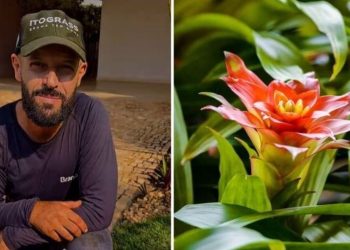 Samyr Chuluc, jardineiro "Como fazer a limpeza das bromélias?"
