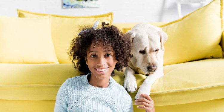 As raças de cachorro mais fiéis do mundo que viraram símbolo de amor