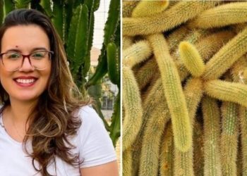 Cynthia Vilela, jardineira "Diferenças entre os tipos de Cactos"