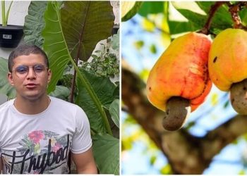Cadu Linhares, jardineiro "Como plantar mudas de caju"