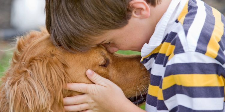 Por que quem acaricia cachorros tem traços emocionais tão especiais