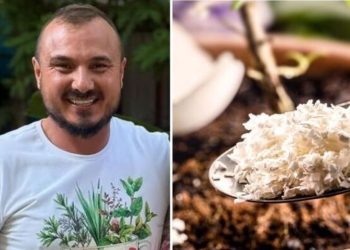 Murilo Soares, jardineiro “Nunca mais jogue fora suas cascas de ovos”