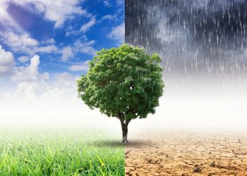 A explicação mais curiosa da psicologia sobre amar o clima quente
