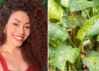 Alexandra, "Como cuidar de comigo-ninguém-pode?"